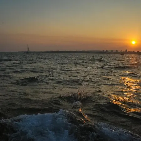 Omorfi * Nesebar